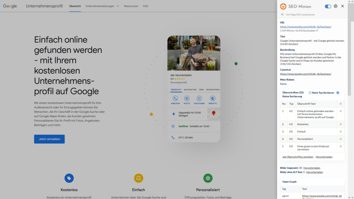 SEO Minion Browserplugin
