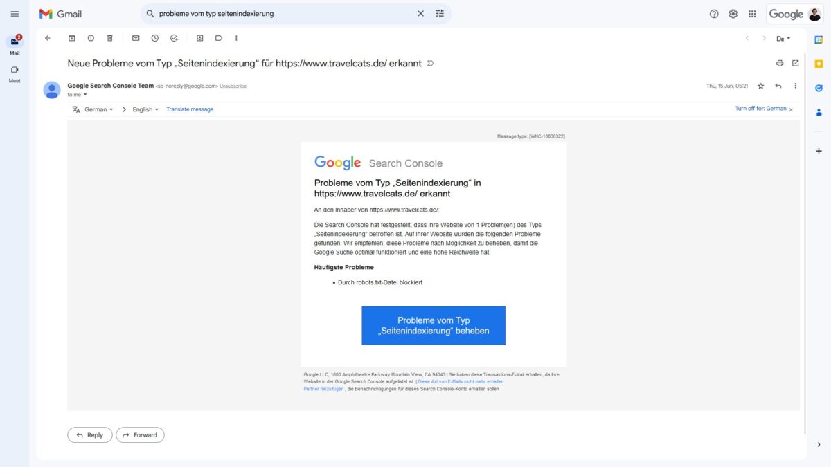 Probleme vom Typ Seitenindexierung in der Google Search Console: Was bedeutet das?